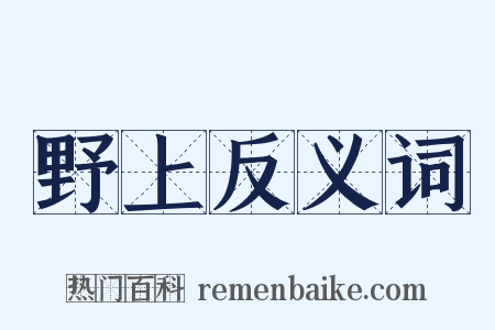 野上反义词是什么意思的图片